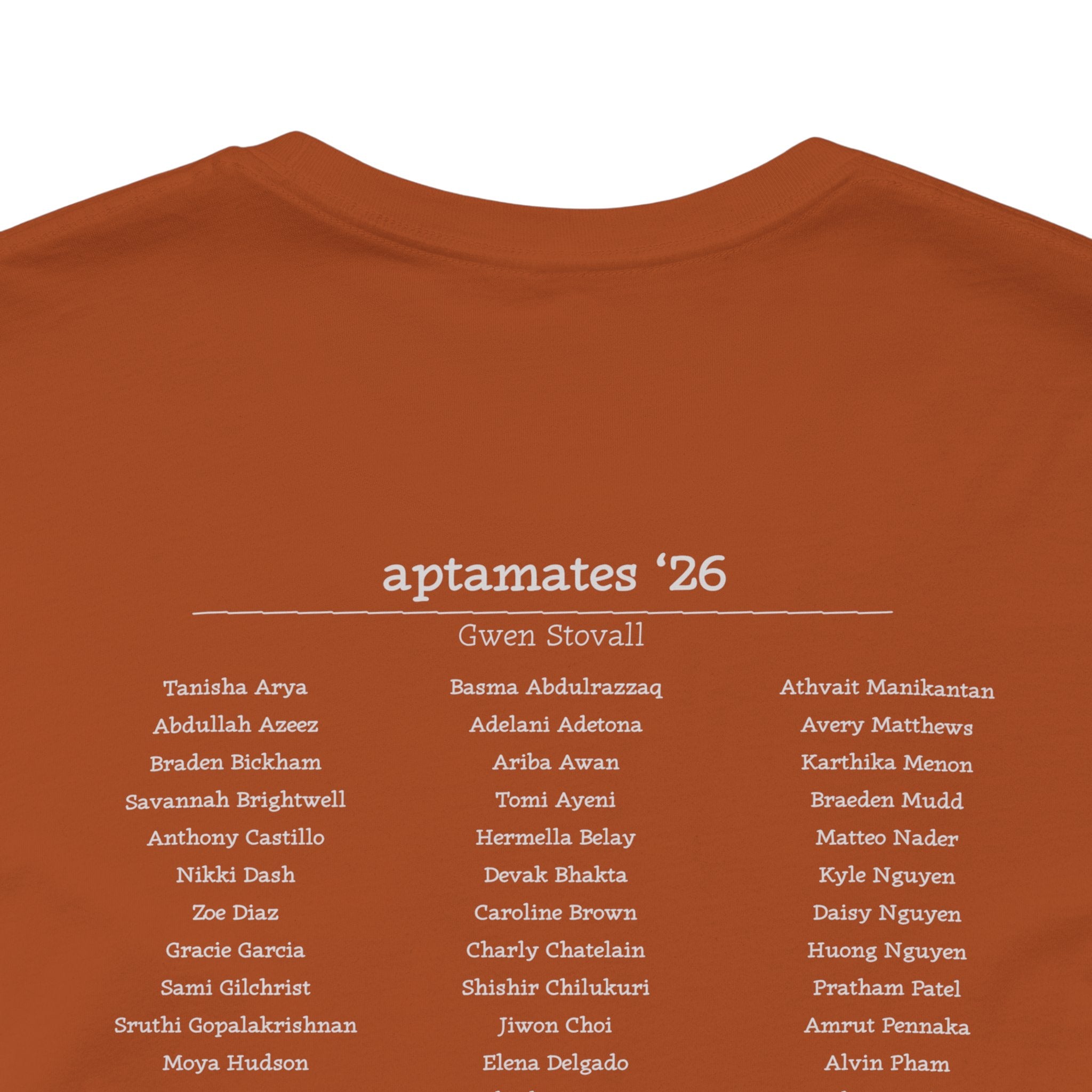 FRI Aptamer Stream T-shirt Design One